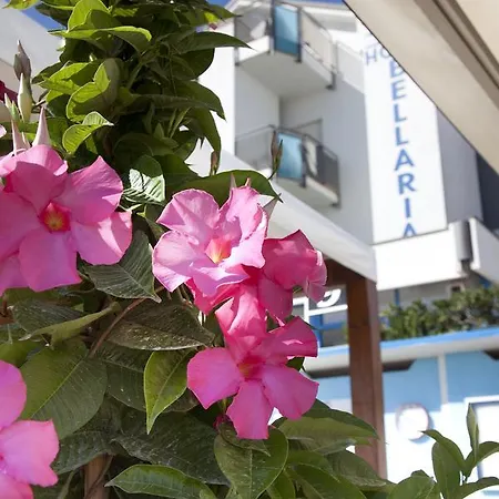 Hotel Bellaria 3* Bellaria-Igea Marina